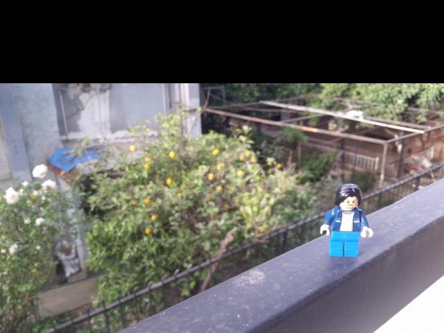 Lego Uncle Jim by the lemon tree